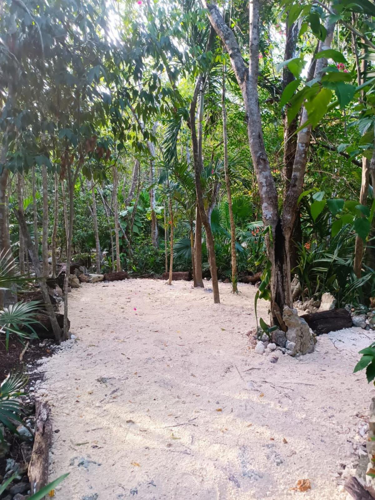 Casa Raices De La Luna Homestay