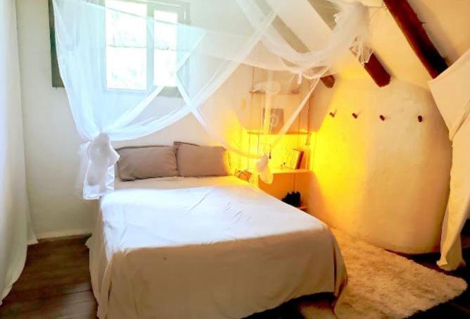 Casa Raices De La Luna Habitación en casa particular Playa del Carmen